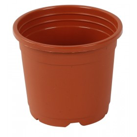 Sunrise Pot 19.5 cm (8") Terracotta