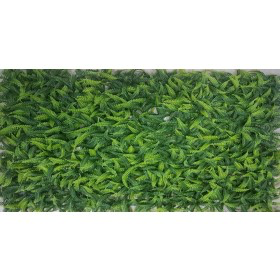 Fern Leaves