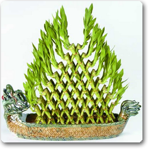 7 Layer Pyramid Shape
