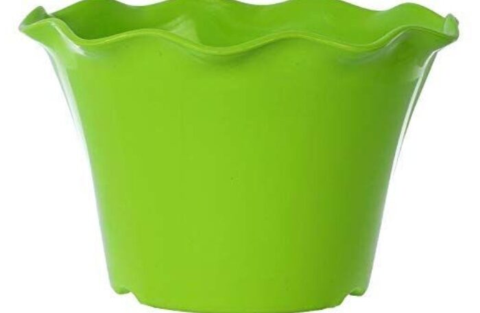 Blossom  Parrot Green Pot