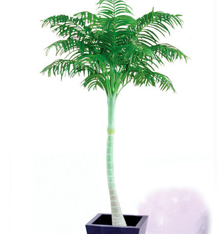 Royal Palm Small