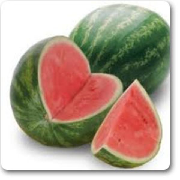 Water Melon F1 Aalam Daksh 55